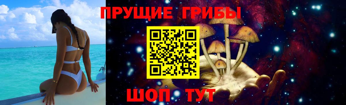 Галлюциногенные грибы прущие грибы  Вход с VPN  Галлюциногенные грибы прущие грибы  Абинск 